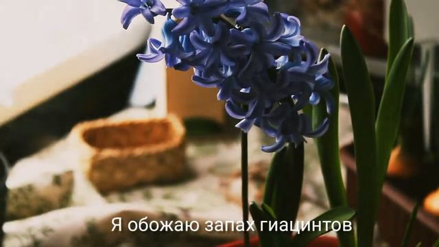 Весеннее настроение / гиацинты и нарциссы /завтрак смотреть онлайн