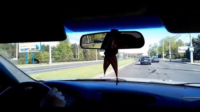 Бобруйчанин помог задержать нетрезвого водителя смотреть онлайн