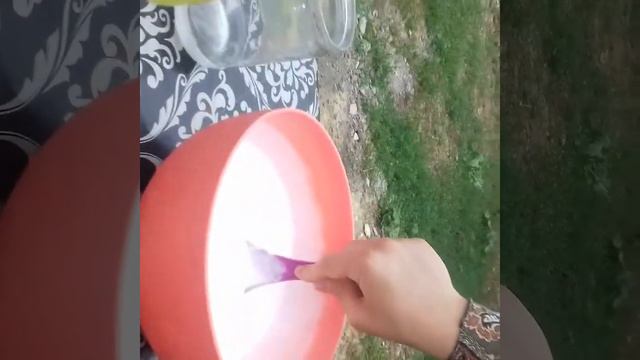 Готовлю огромную базу слайма😍 смотреть онлайн