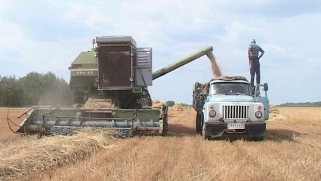 студеное уборка смотреть онлайн