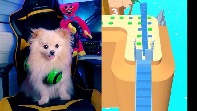 ЭВОЛЮЦИЯ МОСТА ! ПОСТРОЙ МОСТ И ДОБЕРИСЬ ПЕРВЫМ ДО ФИНИША | bridge race смотреть онлайн