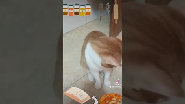 Garfield prepara una lasaña sin lagañas para sus seguidores del mundo gatuno. смотреть онлайн