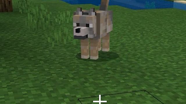 НОВЫЕ ВОЛКИ В МАЙНКРАФТЕ | КАК ДОБАВИТЬ В ИГРУ?