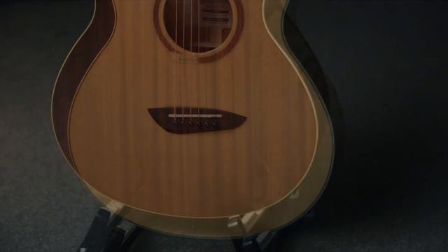 Gopher Wood Acoustic Guitar ( I210SE )