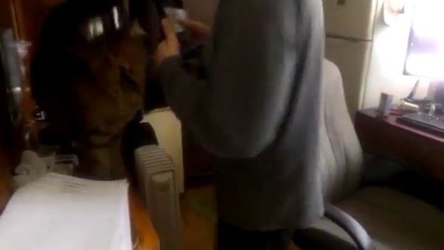 Котастрофа, кот хочет кушать!!!