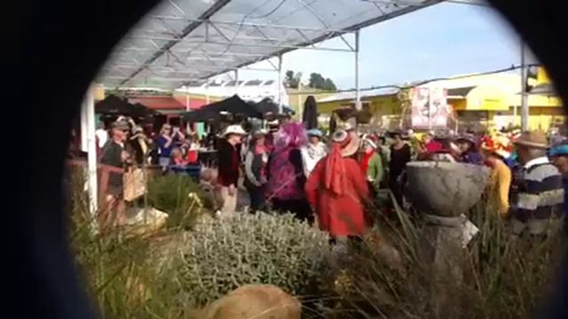 Flash Mob : Sing Me Up Hibiscus смотреть онлайн