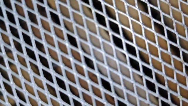 ПРОВЕРКА НА НАЛИЧИЕ НА АКАРИ...1 смотреть онлайн