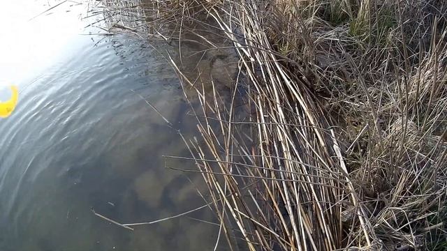Рыбалка на Волго-Донском канале! Клёв окуней и судаков)/Волгодонск смотреть онлайн
