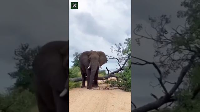В таких рамках живут и многие из нас... смотреть онлайн