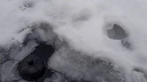 Антиобледенитель в деле