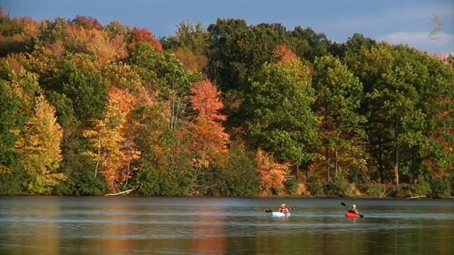 ОСЕНЬ СТИХОТВОРНАЯ смотреть онлайн