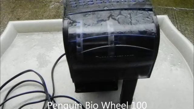 Java Moss + Filter смотреть онлайн