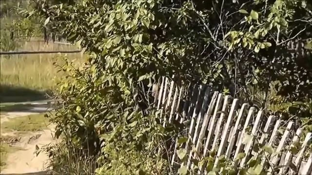 Ленинград "Красная смородина" смотреть онлайн