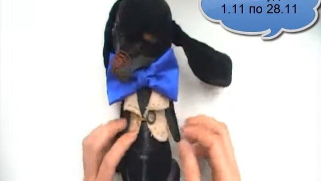 Совместный пошив щенка таксы. смотреть онлайн