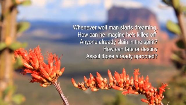 "Flower Oracle" - A multi-media production of poetry, photos and music - Sedona, AZ смотреть онлайн