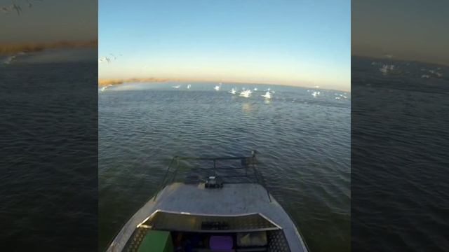  смотреть онлайн