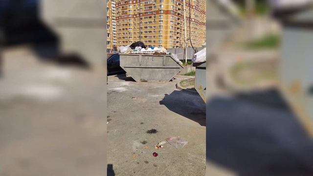 УК Комфорт Видное, Зеленые Аллеи, д. 11 #лго #жкх #гжи #администрациялго #губернаторворобьев смотреть онлайн