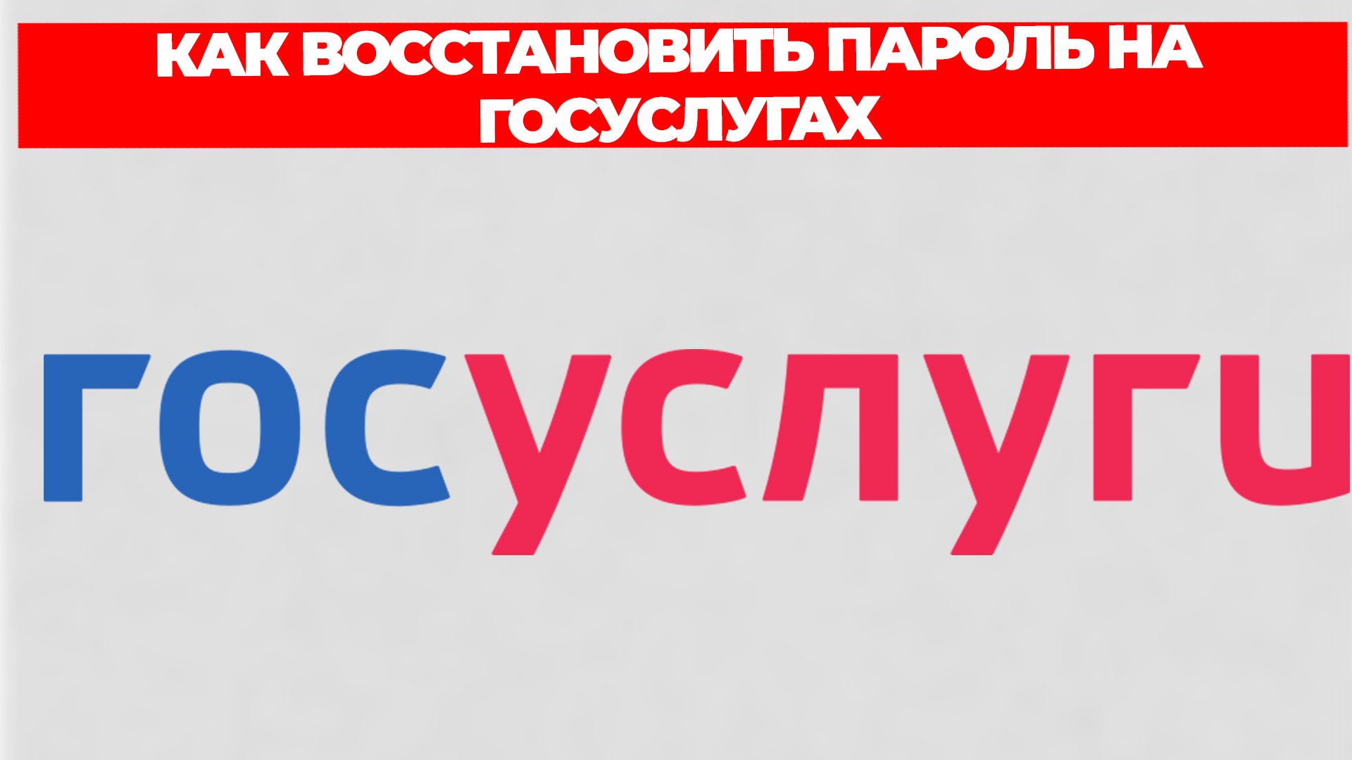 Всезнающий Енот