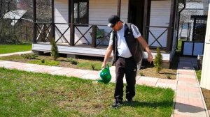 Весенний подсев газона. Убираем проплешины после зимы.