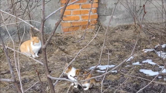 Скоро весна смотреть онлайн