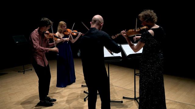 Aleksey Igudesman:Brahms Likes Waltzes Too смотреть онлайн