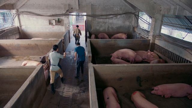 [Multi-sub]《富春山居》26 | 刘端端 潘之琳 王伟 郭铁城 смотреть онлайн