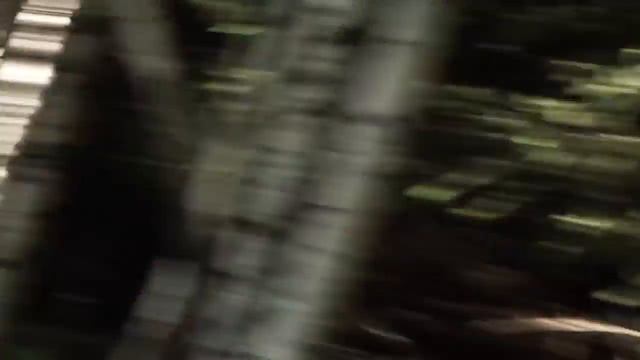 almatymountainfest.kz - IV Международный Алматинский горный фестиваль смотреть онлайн