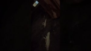 Дверки вырвало))))