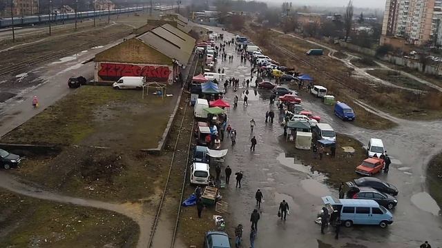 Ярмарка голубей, декоративных птиц и животных г. Бердичев Житомирская область 01.02.2020 года. смотреть онлайн