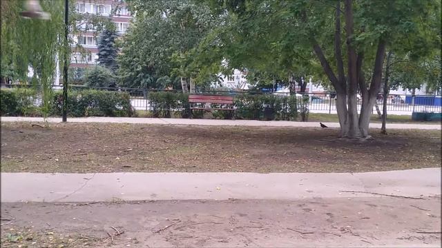 Выход из депрессии. Часть 2 смотреть онлайн