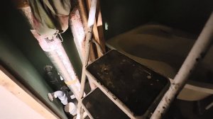 VID_20240408_092838.mp4