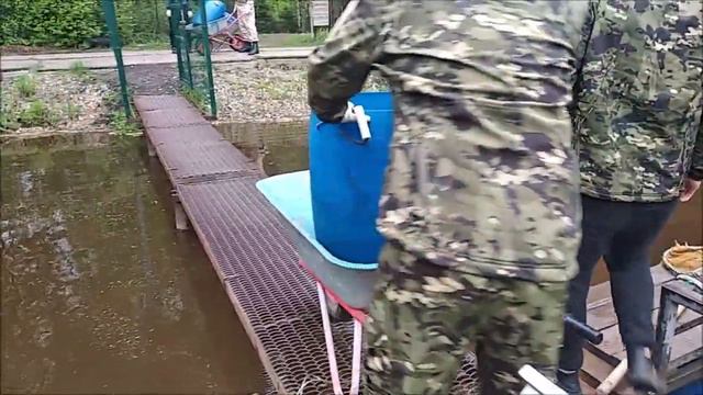 Зарыбление нижнего пруда осетром, 200 кг. Клёвое место Лосиный остров. смотреть онлайн