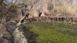 Сделали Плотину на Ручье у Себя в Огороде