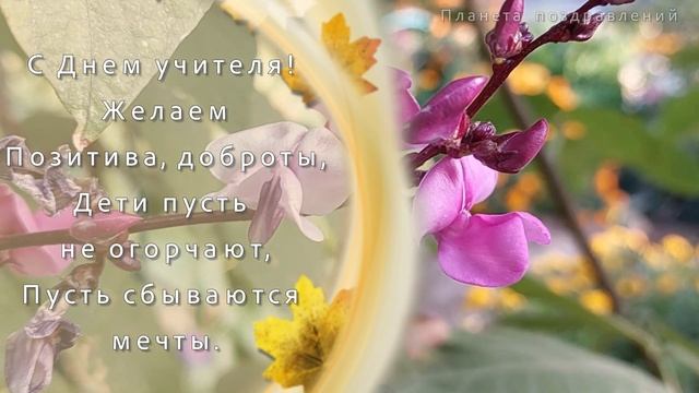 С днем учителя. Поздравление с днем учителя смотреть онлайн