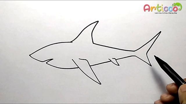 How To Draw White Shark Step by Step смотреть онлайн