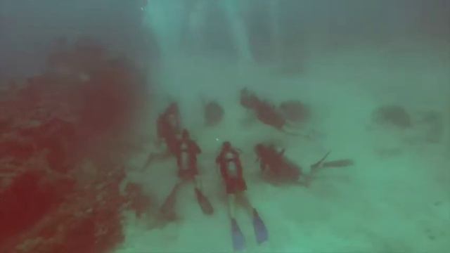 Great Barrier Reef - Dive 3 смотреть онлайн