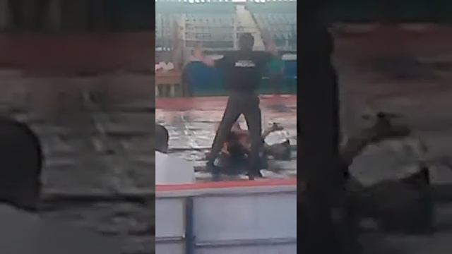 Греко римская борьба(1) смотреть онлайн