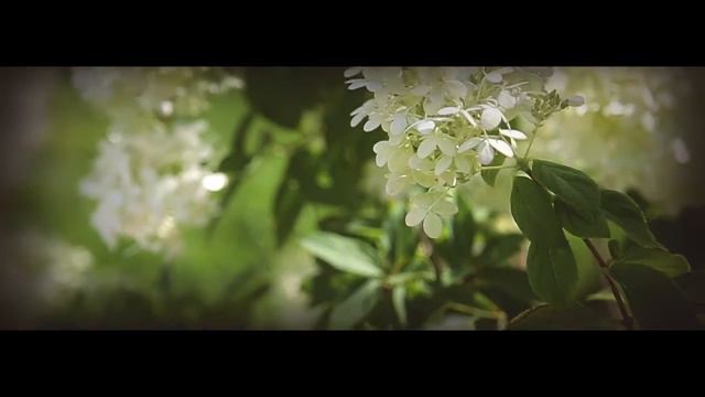 Михаил и Людмила смотреть онлайн