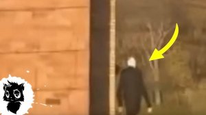 5 СЛУЧАЕВ КОГДА ЗАГАДОЧНЫХ СУЩЕСТВ СНЯЛИ НА КАМЕРУ [Черный кот]