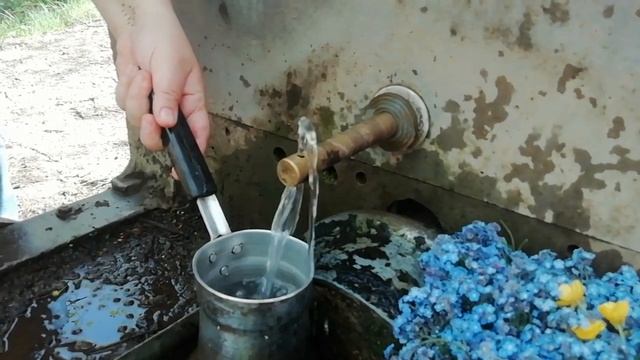 Ուրցով թեյ սարերում/Fresh Thyme Tea In The Mountains/Чай с тимьяном в горах