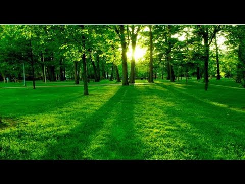 Спокойная музыка для медитации и снятия стресса - 2 часа релакса музыка для сна смотреть онлайн