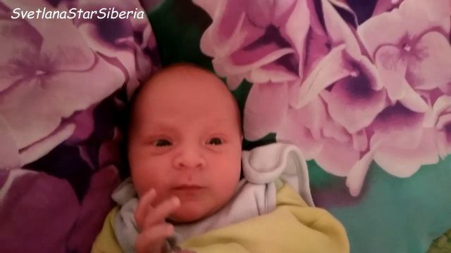 палата/ВЫПИСКА ЗИМА 2019/ПЕРВОЕ КУПАНИЕ/СЫНОК ОТ 0-6МЕС смотреть онлайн