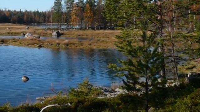 Руническая Карелия. Инициация. смотреть онлайн