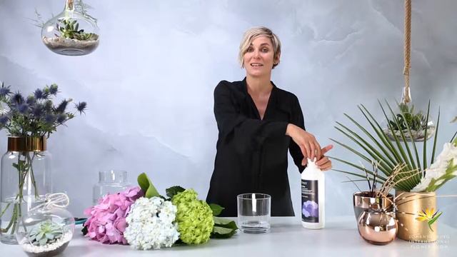 Flower Fact #2 With Jill Manson Presented By The Johannesburg International Flower Show