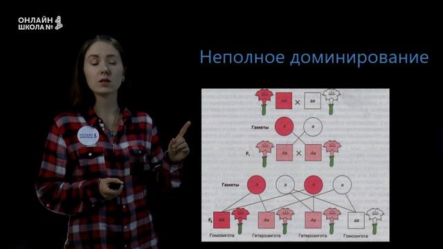 Сцепленное наследование признаков. Хромосомная теория наследственности. Урок 19. Биология 9 класс смотреть онлайн