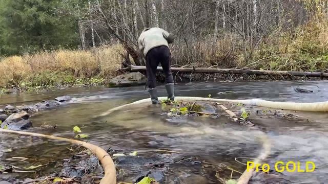 На Север за ЗОЛОТОМ / North For GOLD