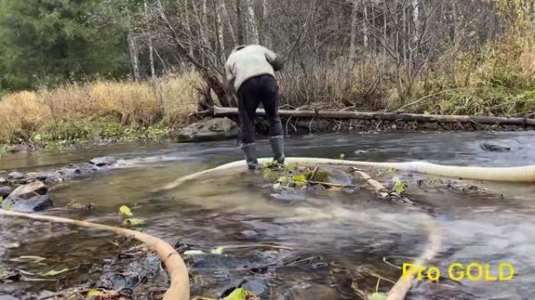 На Север за ЗОЛОТОМ / North for GOLD