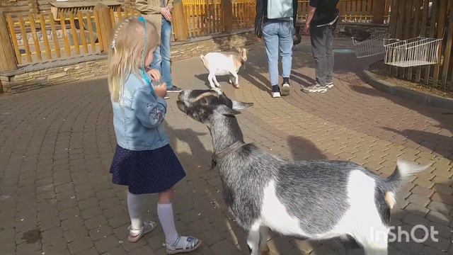 В зоопарке, 2021 год смотреть онлайн