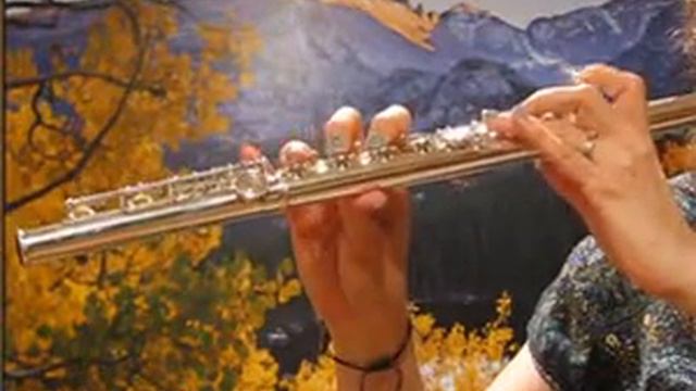 Yamaha Allegro 371 (Used) Flute for Sale - Response смотреть онлайн