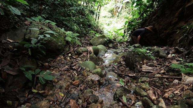 Thử Thách Sinh Tồn Trong Rừng Mưa Một Mình -EP.32 |Survival Alone In The Rainforest